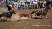 Top 7 Team Roping Games