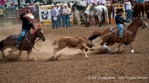 Top 7 Team Roping Games