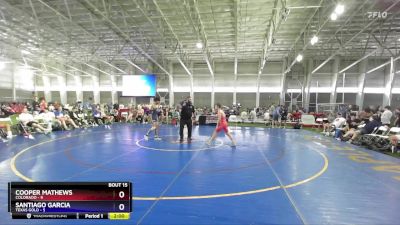 113 lbs Placement Matches (8 Team) - Cooper Mathews, Colorado vs Santiago Garcia, Texas Gold