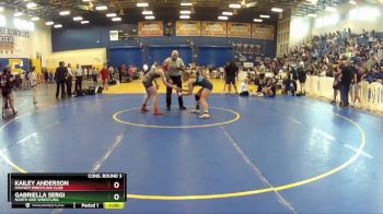 130 lbs Cons. Round 3 - Gabriella Sergi, North Side Wrestling vs Kailey Anderson, Mayhem Wrestling Club