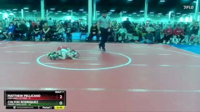 48 lbs Round 2 (10 Team) - Colton Rodriquez, Finger Lakes Elite vs Matthew Pellicano, Fair Lawn Cutters