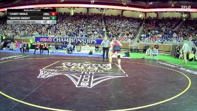 D2-190 lbs 1st Place Match - Casey Engle, Lowell HS vs Martin Knight, North Branch HS