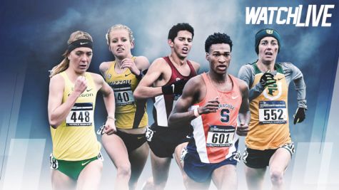 2017 NCAA Cross Country Championships Watch Guide