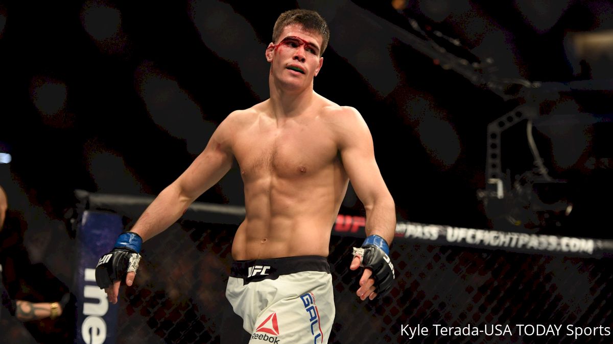 Mickey Gall Teases Announcement After UFC 217: 'More Sh*t Will Be Revealed'
