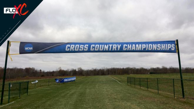 DI, DII, Or DIII: Which Division Selects The Best NCAA Cross Country Field?