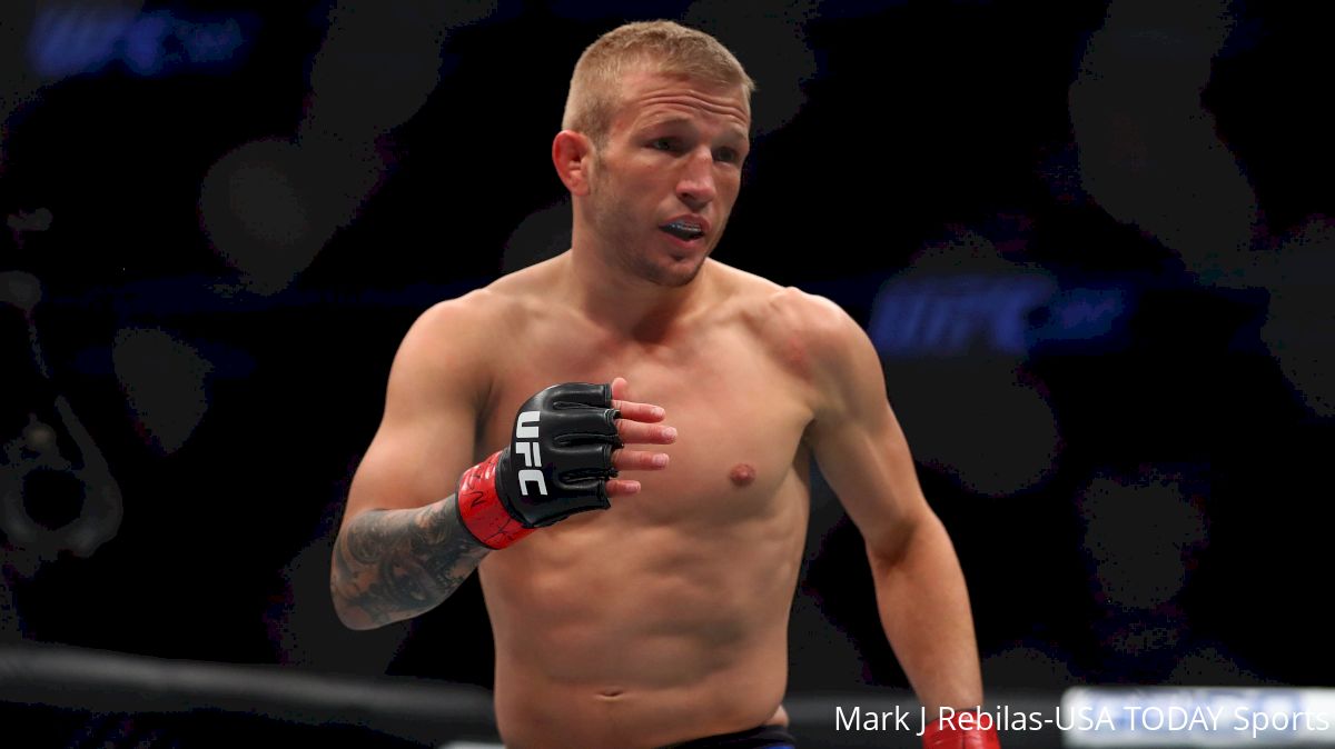 Chris Holdsworth: 'Special Supplements' User TJ Dillashaw Took Cheap Shot