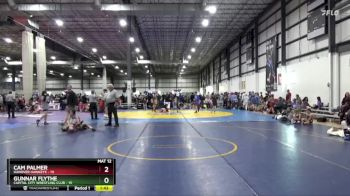80 lbs Round 3 (4 Team) - Gunnar Flythe, CAPITAL CITY WRESTLING CLUB vs Cam Palmer, HANOVER HAWKEYE