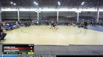 90 lbs Quarterfinal - Riggins Peterson, Declo Middle School vs JaKobe Valle, All In Wrestling Academy