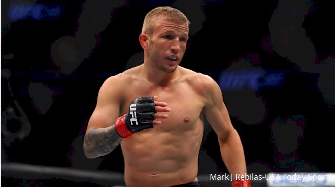 UFC 217 Results: TJ Dillashaw Knocks Out Cody Garbrandt (With Video)