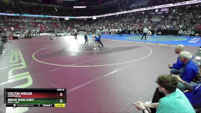 D3-144 lbs Quarterfinal - Colton Weiler, Auburndale vs Briar Naglosky, Shell Lake