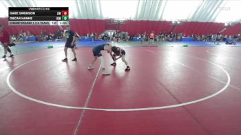 113 lbs Champ Round 1 (16 Team) - Oscar Hanks, Bemidji vs Gabe Swenson, Zimmerman