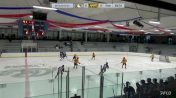 Replay: Home - 2024 CHI Crush vs CHI Cougars | Jan 26 @ 12 PM