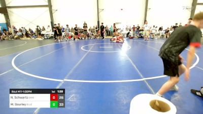 175 lbs Rr Rnd 4 - Nikolas Schwartz, Gold Medal WC vs Mason Gourley, Blue Wave Barn