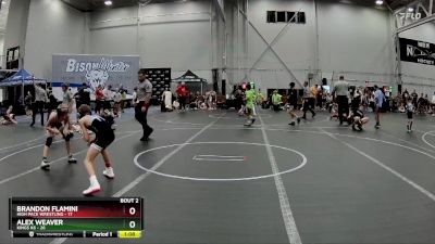 80 lbs Semis (4 Team) - Alex Weaver, Kings K6 vs BRANDON FLAMINI, High Pace Wrestling