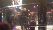 Watch: Conor McGregor Jumps Cage, Makes Run At Ref At Bellator 187