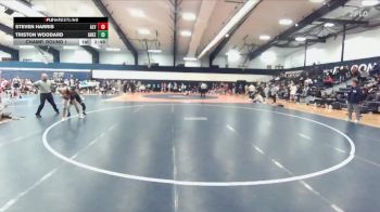 133 lbs Champ. Round 1 - Steven Harris, Alvernia vs Triston Woodard, Greensboro