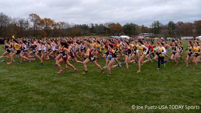 picture of 2023 NCAA Division 3 Cross Country Championships