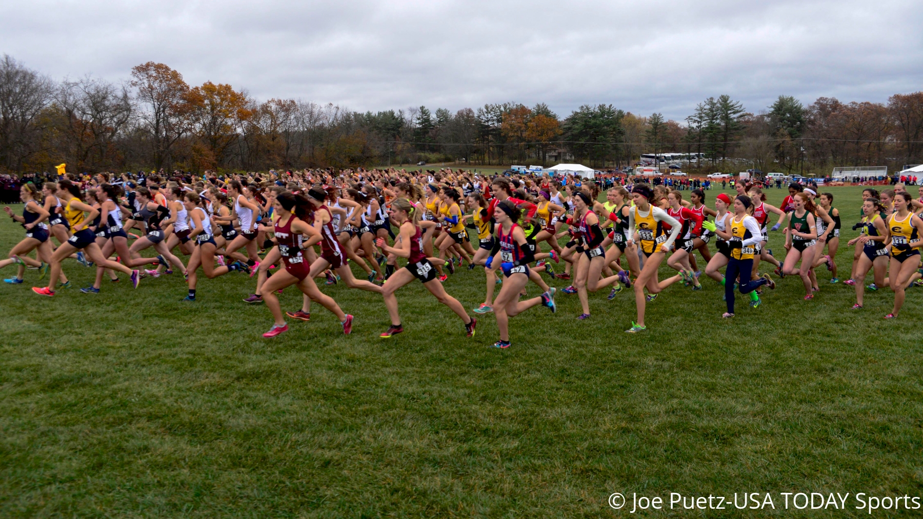 2023 NCAA Division 3 Cross Country Championships FloTrack Track and