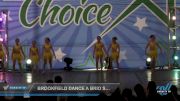 Brookfield Dance a Brio Studios Co - Mini Premier Large Contemporary/Lyrical [2022 Mini - Contemporary/Lyrical - Large Day 2] 2022 Nation's Choice Dance Grand Nationals & Cheer Showdown