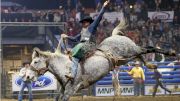 Competitors See Big Payouts As 2017 Pro Agribition Rodeo Concludes