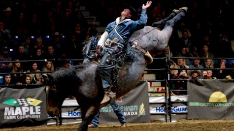 2017 Pro Agribition Rodeo