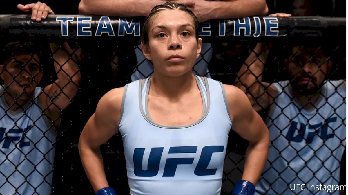 Nicco Montano: Quiet Beyond The Cage, Fierce Under The Lights