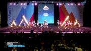 The Stingray Allstars - Citrus [2025 L1 Youth - Small - A Day 1] 2025 The Youth Summit