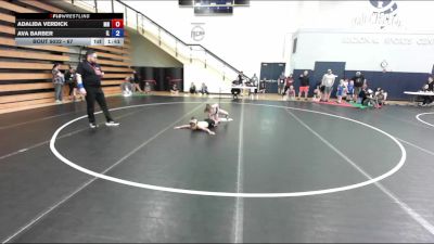 67 lbs Champ. Round 1 - Adalida Verdick, MN vs Ava Barber, IL