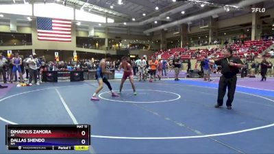 144 lbs Cons. Round 3 - Dimarcus Zamora, AR vs Dallas Shendo, NM