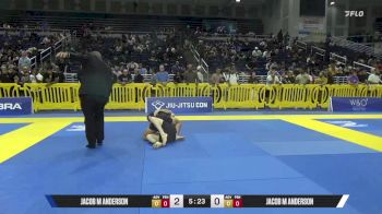 Jacob M Anderson vs Cody James Casey 2025 Pan IBJJF Jiu-Jitsu No-Gi Championship