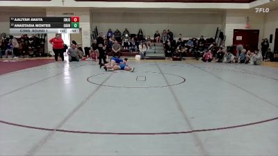 138 lbs Cons. Round 1 - Anastasia Montes, Casa Grande Union High School vs Aaliyah Anaya, San Manuel Jr. Sr.