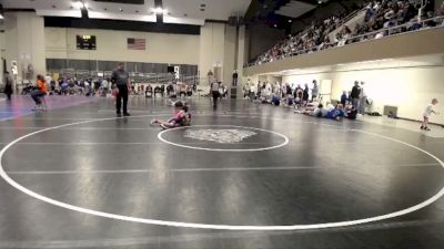 65 lbs Finals (8 Team) - Misha Shenets, Bemidji vs Mason Chamberlain, Watertown-Mayer