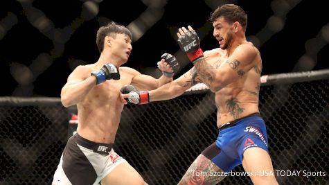 UFC St. Louis Free Fight: Doo Ho Choi vs. Cub Swanson