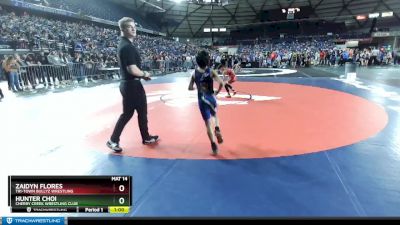 74 lbs Cons. Round 5 - Zaidyn Flores, Tri-Town Bullyz Wrestling vs Hunter Choi, Cherry Creek Wrestling Club