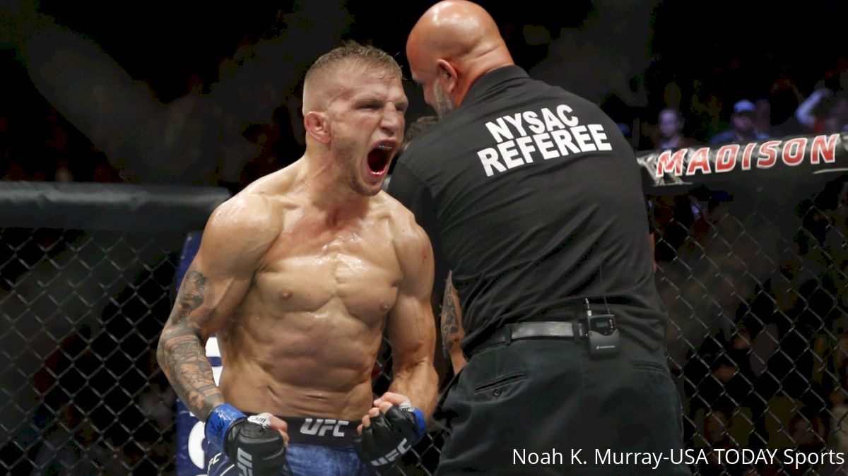 TJ Dillashaw: 'I Don't Have A Gap' Demetrious Johnson Can Exploit