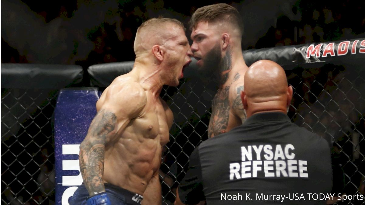 TJ Dillashaw: 'I'm Not A Conor McGregor — I'm Not Afraid To Fight'