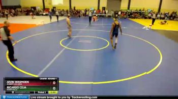 132 lbs Champ. Round 1 - Aivin Wasmoen, Albert Lea Area vs Ricardo Ceja, River Falls