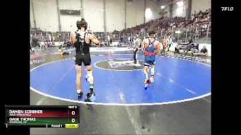 138 lbs Champ. Round 3 - Gage Thomas, Haverling, NY vs Damien Scribner, West Springfield