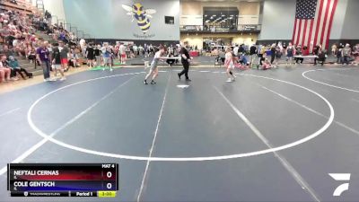 120 lbs Cons. Round 2 - Neftali Cernas, IL vs Cole Gentsch, IL