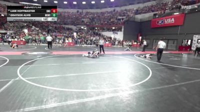 57 lbs Champ. Round 2 - Liam Hoffmaster, Dodgeville Mat Club vs Grayson Alvis, Monona Grove/McFarland Wrestling Club