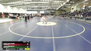 125 lbs Quarterfinal - Gavin Bradley, Castleton vs Jack Callahan, Springfield