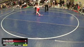 100 lbs Cons. Semi - Destiny Palmer, Carbon Middle School vs Ellaria Crapo, Delta Wrestling Club