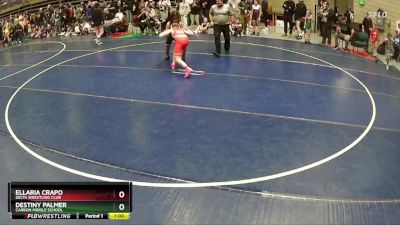 100 lbs Cons. Semi - Destiny Palmer, Carbon Middle School vs Ellaria Crapo, Delta Wrestling Club