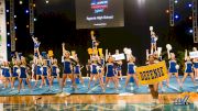 Must Watch Crowdleader® Divisions At USA Spirit Nationals