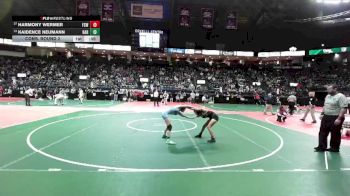 104 lbs Cons. Round 2 - Harmony Wermer, FSW3 vs Kaidence Neumann, HAR1