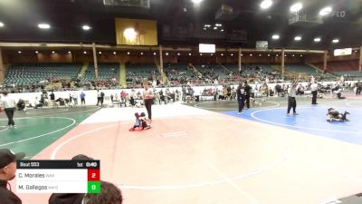 46 lbs Quarterfinal - Caleb Morales, War Dog vs Marcos Gallegos, NM Gold