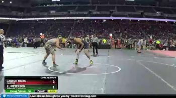 D1-215 lbs Cons. Round 1 - Lu Peterson, Wyandotte Roosevelt vs Jaxson Hicks, Flushing