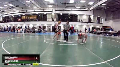 141 lbs Quarterfinal - Brady Packer, Adrian vs Gabe Hansen, Ohio Northern