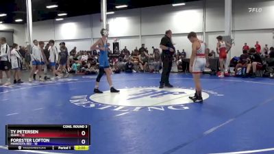 125 lbs Semis & 3rd Wb (16 Team) - Ty Petersen, Idaho vs Forester Lofton, Minnesota Red