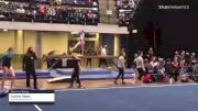 Audrey Haase - Women's Group, Flips Gymnastics LLC - 2021 Women's Xcel Region 4 Championships